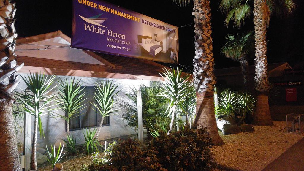 White Heron Motor Lodge Gisborne Exteriör bild